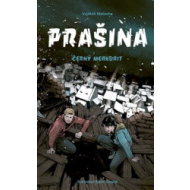 Prašina - Černý merkurit - cena, porovnanie