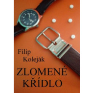 Zlomené křídlo - cena, porovnanie