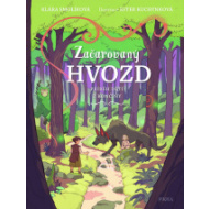 Začarovaný hvozd - cena, porovnanie