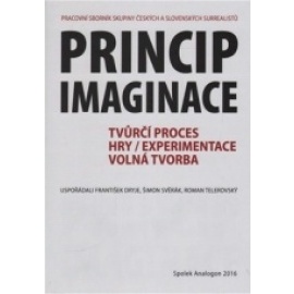 Princip imaginace