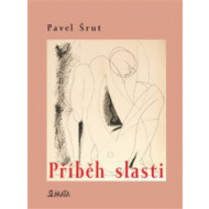 Příběh slasti - cena, porovnanie