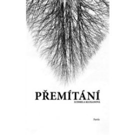 Přemítání