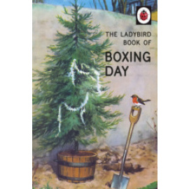 The Ladybird Book Of Boxing Day