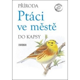 Ptáci ve městě