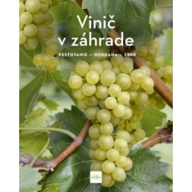 Vinič v záhrade - pestovanie - ochrana - zber