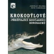 Krokodýlové - cena, porovnanie