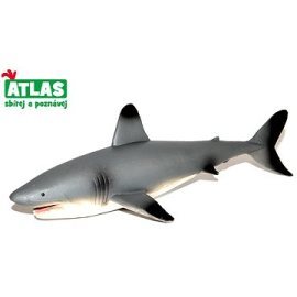 Wiky Atlas Žralok
