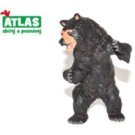 Wiky Atlas Medvěd baribal