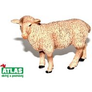Wiky Atlas Ovce - cena, porovnanie
