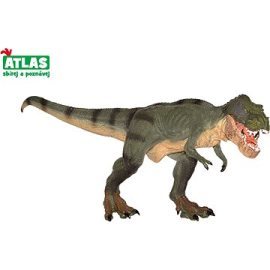 Wiky Atlas Tyrannosaurus Rex