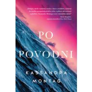 Po povodni - cena, porovnanie