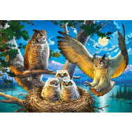 Castorland Owl Family 500 - cena, porovnanie