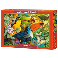 Castorland Interlude 3000 - cena, porovnanie