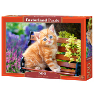 Castorland Ginger Kitten 500 - cena, porovnanie