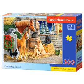 Castorland Gathering Friends 300