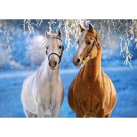 Castorland The Winter Horses 260