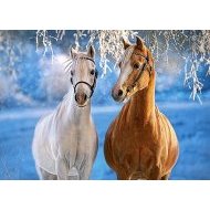 Castorland The Winter Horses 260 - cena, porovnanie