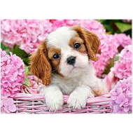 Castorland Puppy in pink flowers 180 - cena, porovnanie