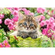 Castorland Kitten in Flower Garden 100 - cena, porovnanie