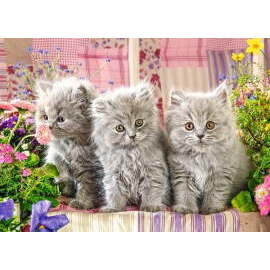 Castorland Three Grey Kittens 260