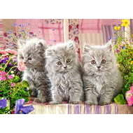 Castorland Three Grey Kittens 260 - cena, porovnanie