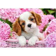 Castorland Pup in Pink Flowers 500 - cena, porovnanie