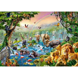 Castorland Jungle river 500