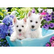 Castorland Westie Puppies 200 - cena, porovnanie