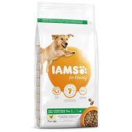 Iams Adult Large Chicken 3kg - cena, porovnanie