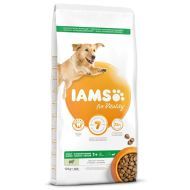 Iams Adult Large Lamb 12kg - cena, porovnanie