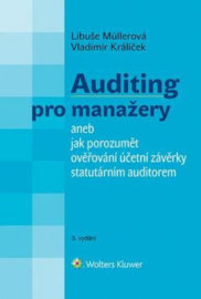 Auditing pro manažery