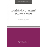 Zajištění a utvrzení dluhu v praxi - cena, porovnanie