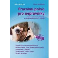 Pracovní právo pro neprávníky - rozbory vybraných ustanovení, praktická aplikace, vzory a příklady - cena, porovnanie