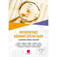 Účetní interpretace Národní účetní rady - cena, porovnanie