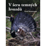 V šeru temných hvozdů - cena, porovnanie