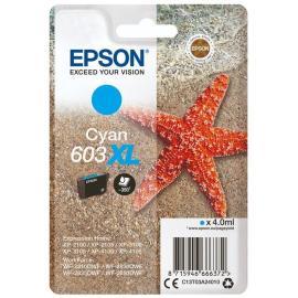 Epson C13T03A24010