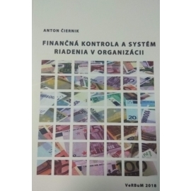 Finančná kontrola a systém riadenia v organizácii