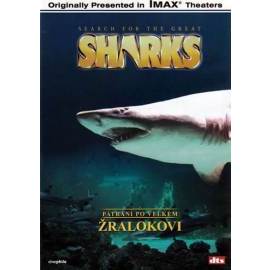 Pátrání po velkém žralokovi - DVD