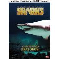 Pátrání po velkém žralokovi - DVD - cena, porovnanie