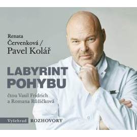 Labyrint pohybu (audiokniha)