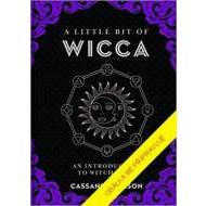 WICCA a jak jí rozumět - cena, porovnanie