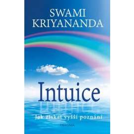 Intuice