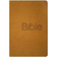 Bible, překlad 21. století (Gold kůže) - cena, porovnanie