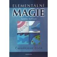 Elementární magie - cena, porovnanie