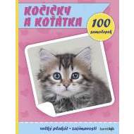 Kočičky a koťátka - Plakát a 100 samolep - cena, porovnanie