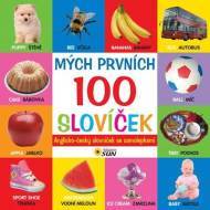 Mých prvních 100 slovíček - cena, porovnanie