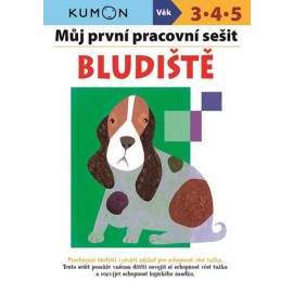 Bludiště - Můj pracovní sešit