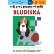 Bludiská - môj prvý pracovný zošit - cena, porovnanie