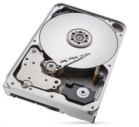 Seagate IronWolf ST12000VN0008 12TB