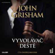 Vyvolávač deště 2CDmp3 - cena, porovnanie